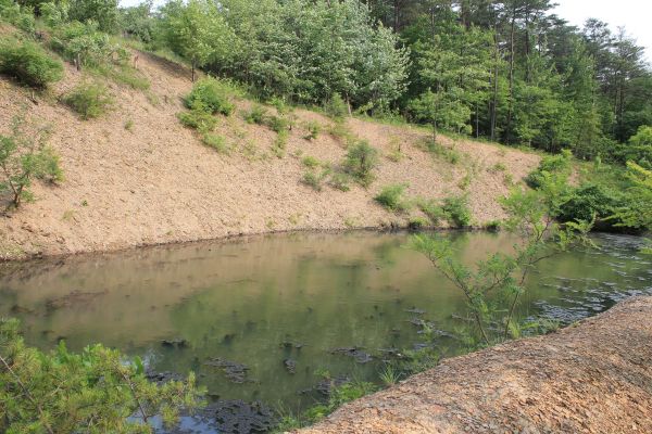 Cost of Pond Erosion Repair in Westerville